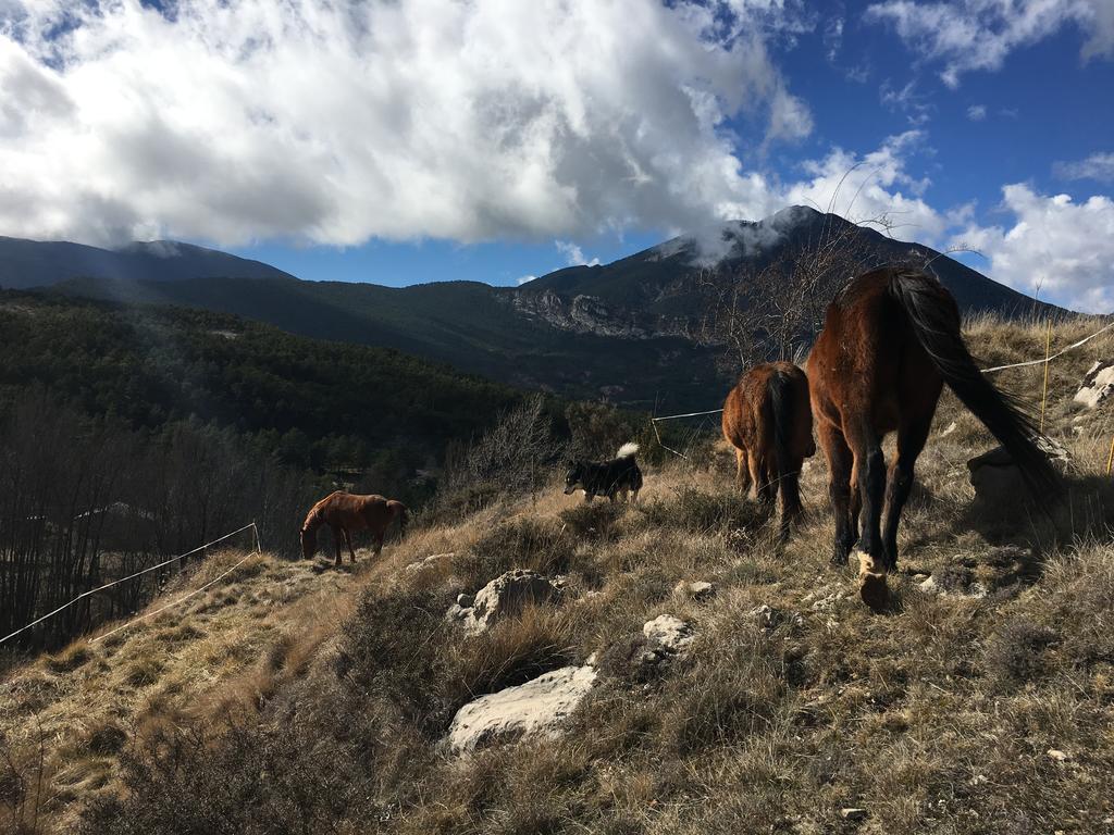 El Jou Nature Sant Corneli Bagian luar foto