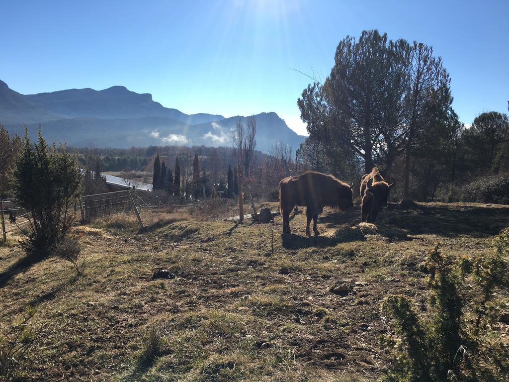 El Jou Nature Sant Corneli Bagian luar foto