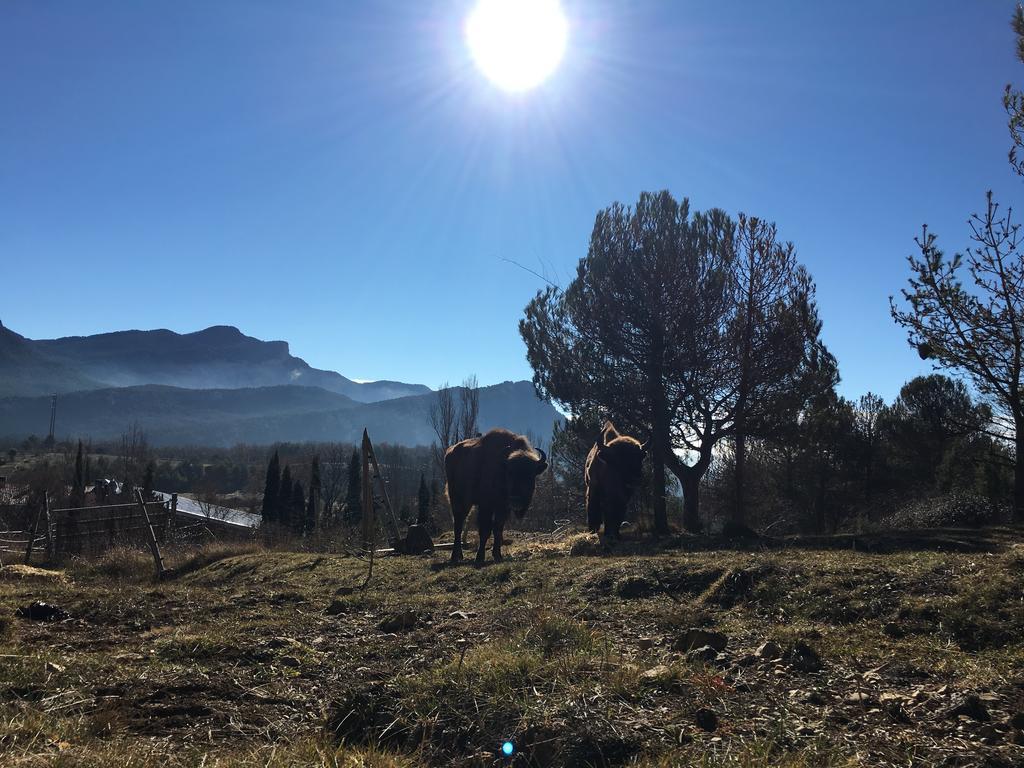 El Jou Nature Sant Corneli Bagian luar foto