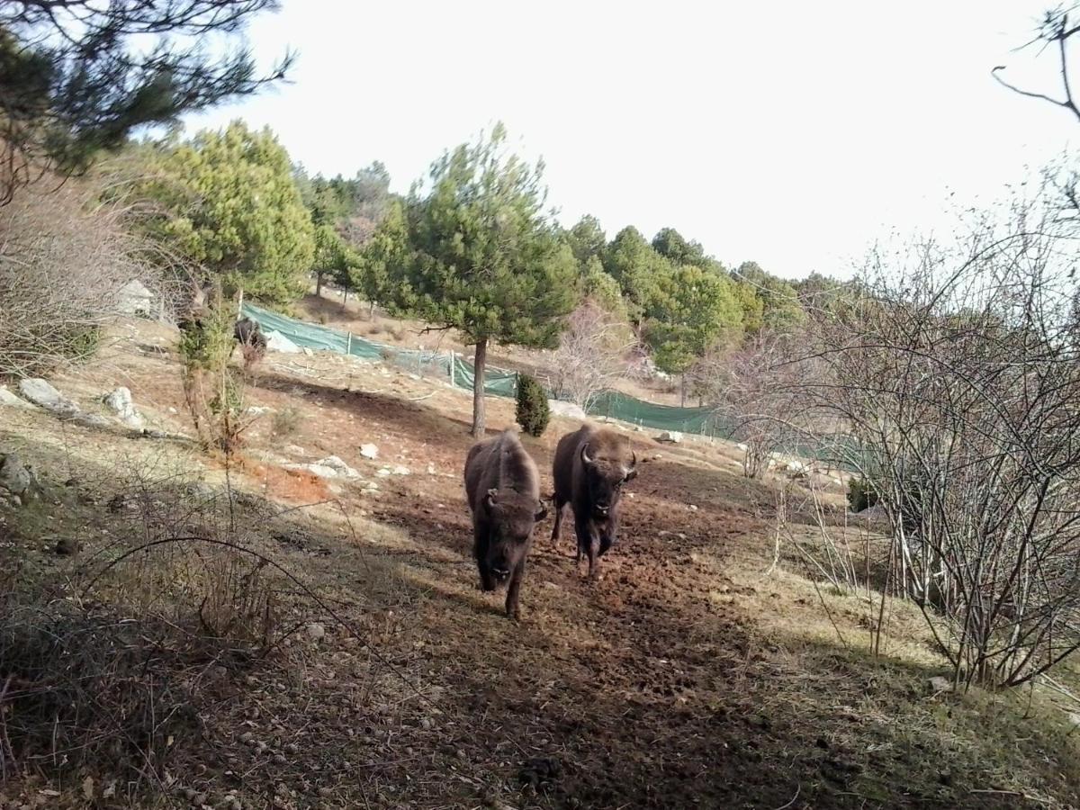 El Jou Nature Sant Corneli Bagian luar foto
